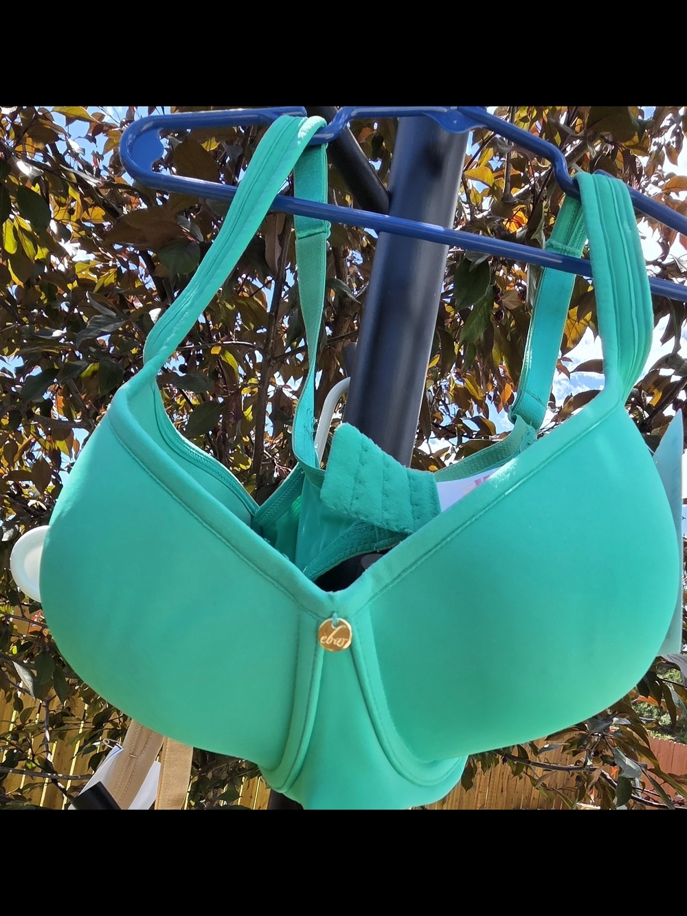 Essential Bodywear Aqua Green T-Shirt Bra with Light Padding